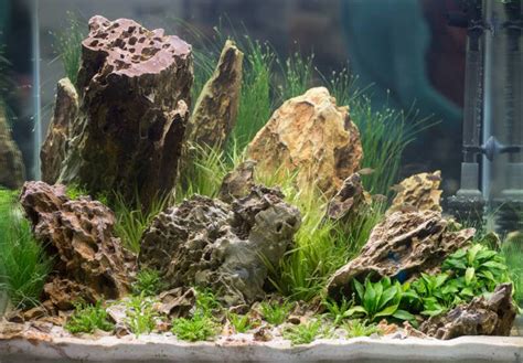 Choosing Aquarium Rocks: Types And Safety Tips