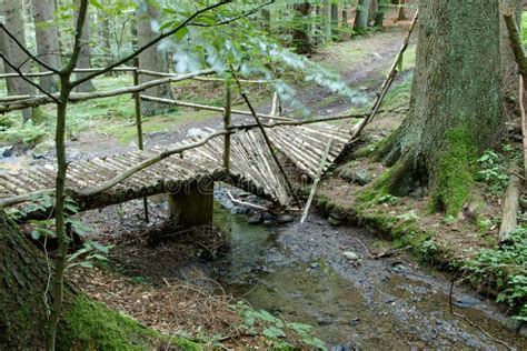 Small Old Broken Wooden Bridge Stock Photo - Image of broken, green ...