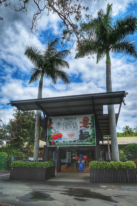 Explore the Delights of Yandina Ginger Factory – A Hidden Gem of Sunshine Coast! – Hello Kids Fun