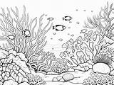 Coral Reef Coloring Page For Kids  Free Printable drawing sketch template