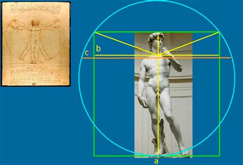 a. Vertical yellow line: David's height. --b. Horizontal yellow line ...