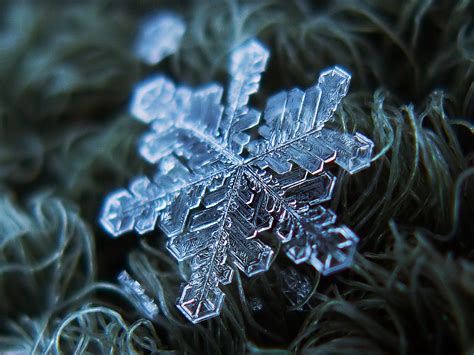 Multimedia Gallery - Nature's snowflakes have fractal-like self similarity. | NSF - National ...