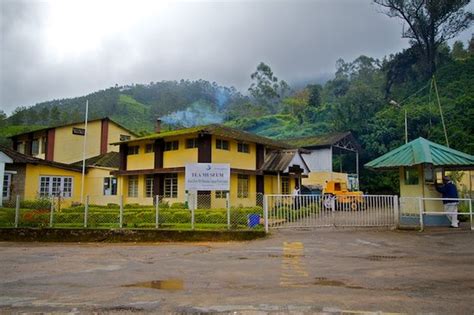 Kannan Devan Tea Museum (Munnar) - 2021 All You Need to Know BEFORE You ...