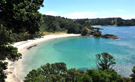 The Five Best Secluded Beaches in Auckland - Concrete Playground