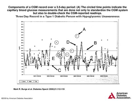 Components of a CGM record over a 3 - ppt download