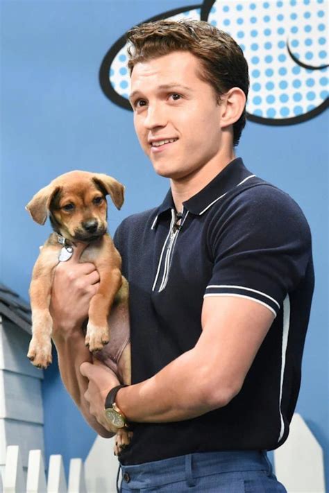 Tom with dog 😍 | Tom holland, Tom holland imagines, Holland