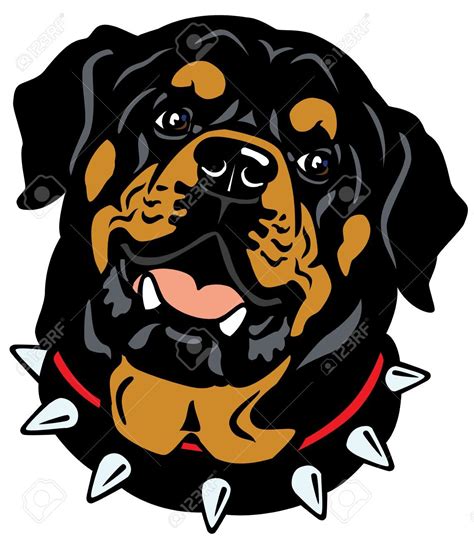 Dog Head, Rottweiler Breed,illustration Isolated On White Background ...