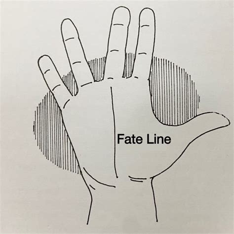 Fate Line Palmistry – Palm reading – Palm Reading