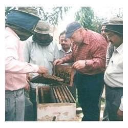 BEEKEEPING TRAINING | Bee Keeper India