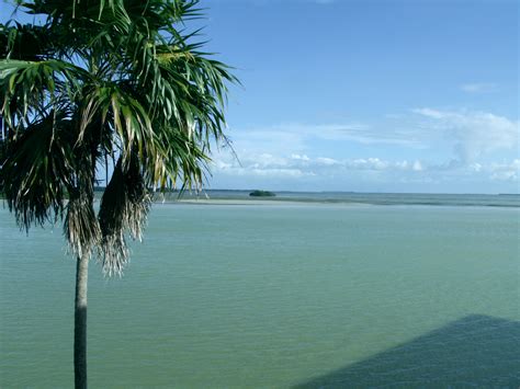 File:Florida Bay at Flamingo.JPG - Wikipedia, the free encyclopedia
