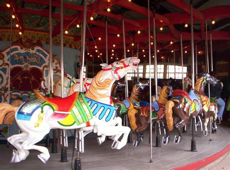 Central Park Carousel | Central park, Carousel, Animal collective