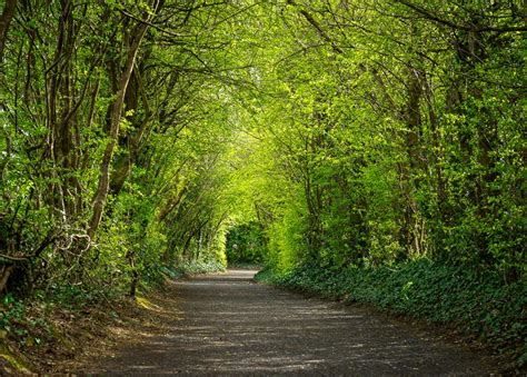 Irish Road - Beautiful places. Best places in the world. Shut up and take me there!