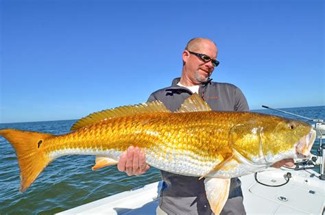 Fish School – Redfish - Coastal Angler & The Angler Magazine