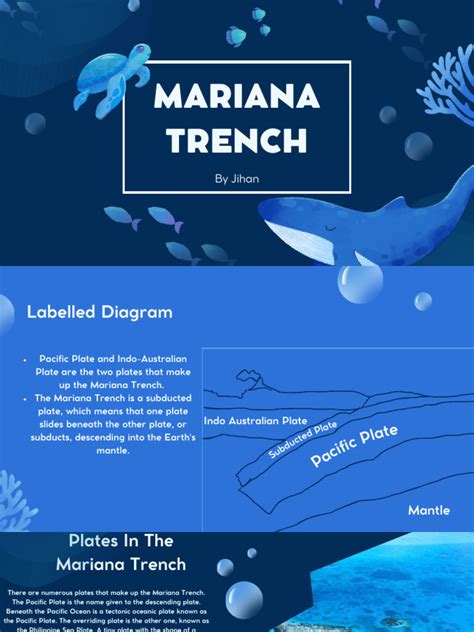 Mariana Trench | Download Free PDF | Plate Tectonics | Structural Geology