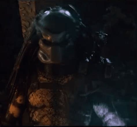 Predator GIF - Predator - Discover & Share GIFs