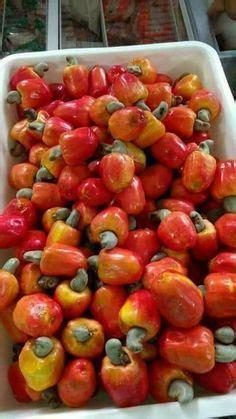 490 Guyana fruits and vegetables ideas | exotic fruit, fruits and vegetables, tropical fruits