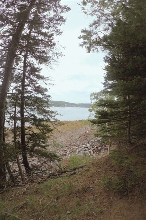 Hiking Bar Island Trail in Acadia National Park (Updated 2023)