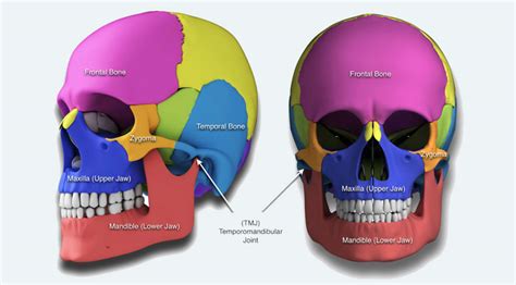 Syndromes - Craniofacial Deformities - Dell Children's Craniofacial ...