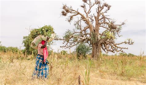 The Culture Of Niger - WorldAtlas