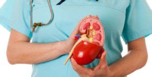 Essential Information on Nephritis Treatment and Diet — Healthdigezt.com