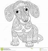 10 Toothy Adult Coloring Pages Printable Off The Cusp Sketch Coloring Page sketch template