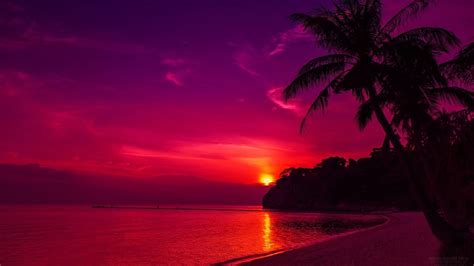 Purple Tropical Sunset Beach Wallpapers - Top Free Purple Tropical ...