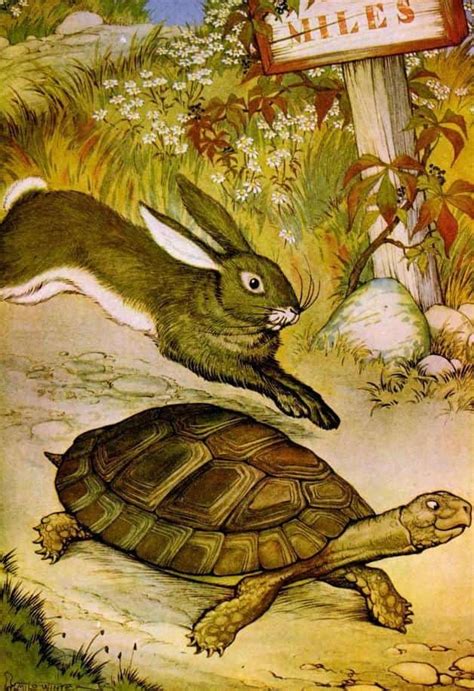 The Hare and the Tortoise | Aesop's Fables