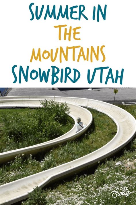 Snowbird In The Summer (The Best 10 Summer Activities For Kids At ...