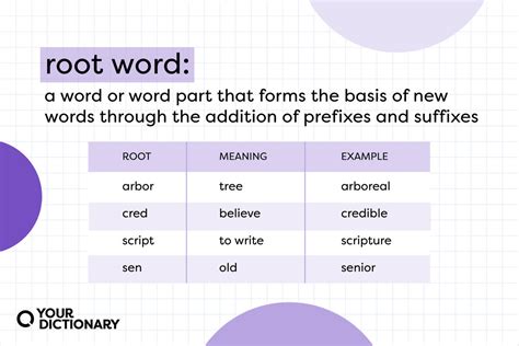 Examples of Root Words: 45 Common Roots With Meanings | YourDictionary