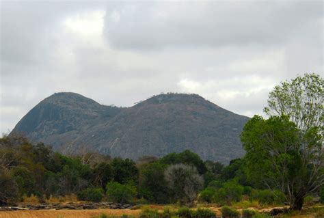 Bespoke Safaris in Niassa National Reserve, Mozambique - Journeys by Design