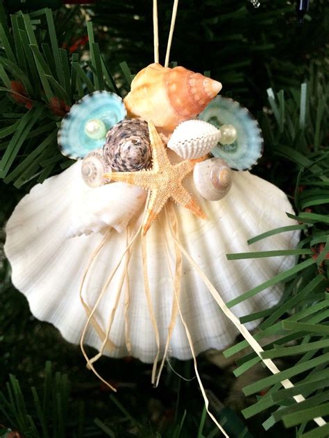 White Clam Shell with variety of shells along with limpets and a starfish | Shell crafts diy ...