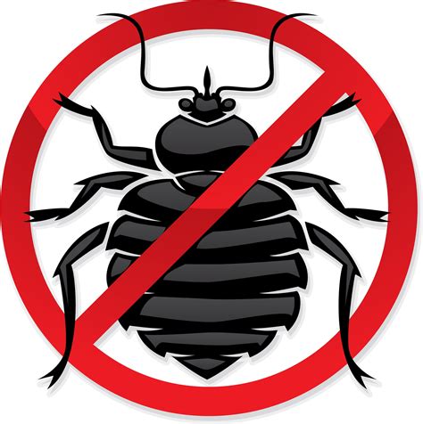 BED BUG EXTERMINATOR NYC – Medium