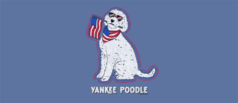 Yankee Poodle – Teddy the Dog