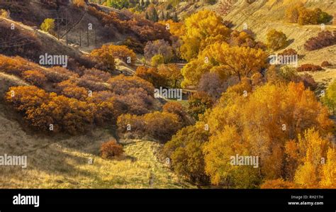 Lush and colorful fall foliage in Salt Lake City Stock Photo - Alamy