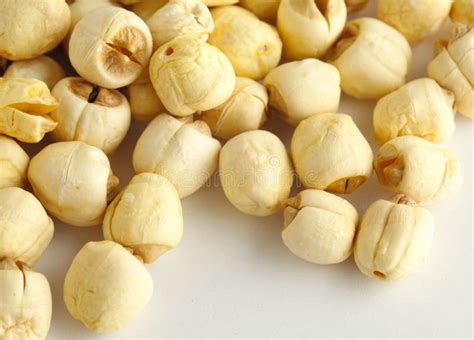 Dry lotus seed stock photo. Image of food, dried, white - 35219134