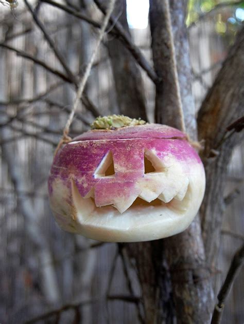 Going Back to the Roots: History of the Turnip Jack-O’-Lantern and Why ...