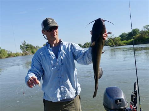 Big fish, big fun: catfish are the Snake River's overlooked bounty | Idaho Fish and Game