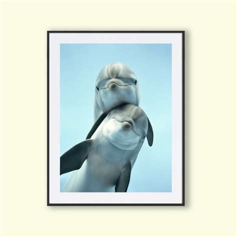 Dolphin Art Amazing Dolphin Ocean Art Dolphin Photography - Etsy