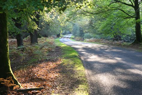 Brockenhurst New Forest Hampshire UK - Brockenhurst village info