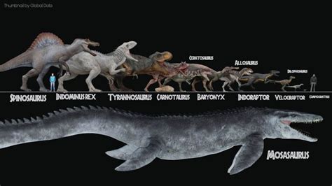 an image of dinosaurs that are in different stages of life on the same scale as humans