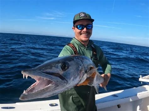 How Big Do Barracudas Get? (Average and Maximum Sizes)