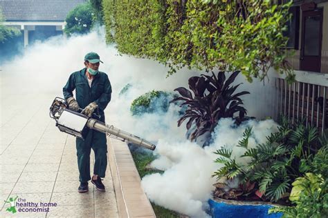 Staying Safe from Mosquito Spraying | Healthy Home Economist