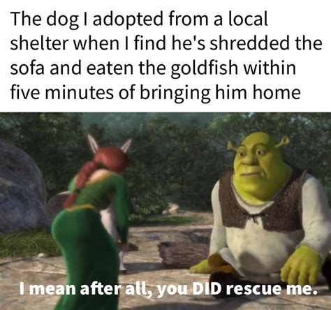 Making a meme from every line in Shrek (2001) Day 453 : r/Shrekmemes