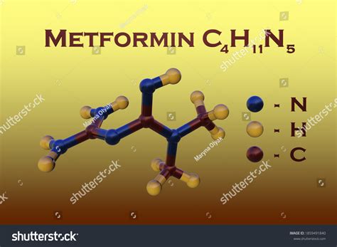 Structural Chemical Formula Molecular Model Metformin Stock Illustration 1859491840