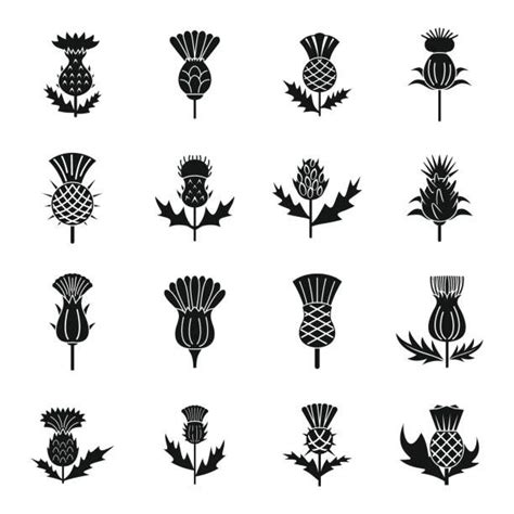 Thistle Vector Icons 131615 Vector Art at Vecteezy | Thistle tattoo ...