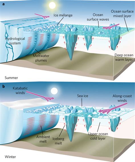 Fjord Diagram