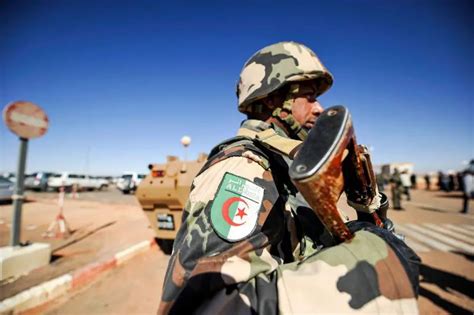 Algeria and Russia Aim to Boost Military Ties