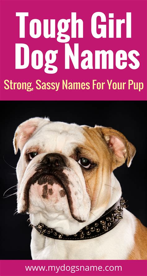 Tough female dog names for your new pup. These names are strong and sassy, just like your new ...