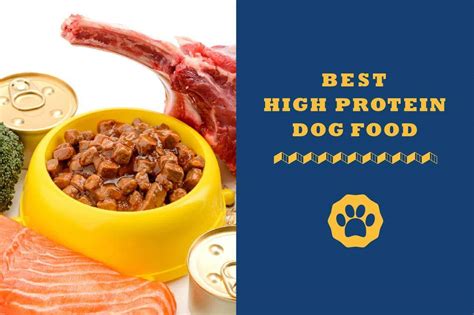 Best High Protein Dog Food 2021 - Totally Goldens