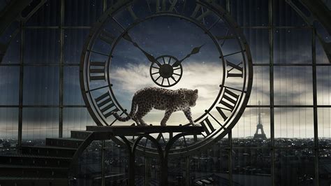 Cartier | Cartier, Exhibition, Wallpaper